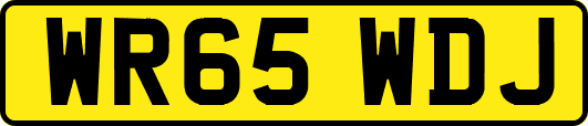 WR65WDJ
