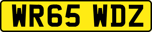 WR65WDZ