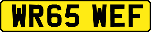 WR65WEF