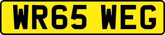 WR65WEG