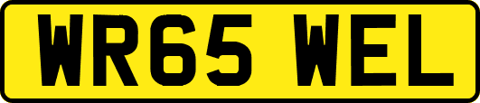 WR65WEL