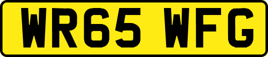 WR65WFG