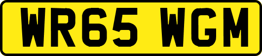 WR65WGM