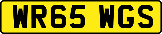 WR65WGS