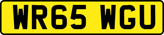 WR65WGU