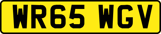 WR65WGV
