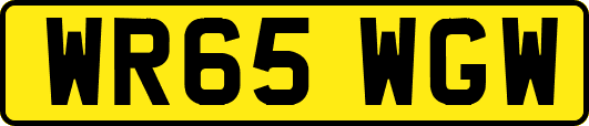 WR65WGW