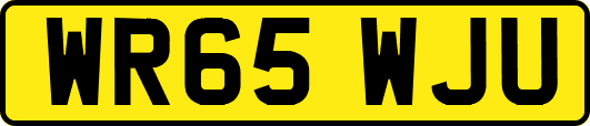 WR65WJU