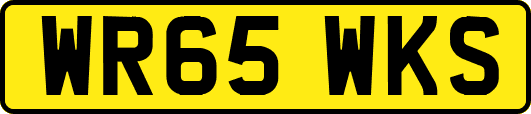 WR65WKS