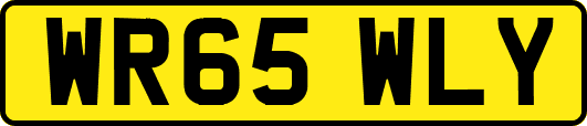 WR65WLY