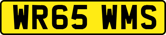 WR65WMS