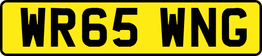 WR65WNG