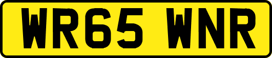 WR65WNR