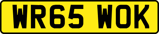 WR65WOK