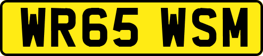 WR65WSM