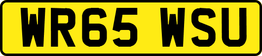 WR65WSU
