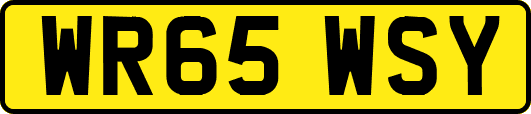 WR65WSY