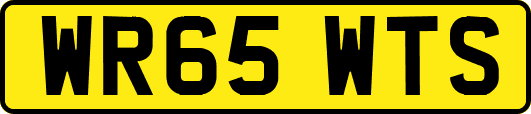 WR65WTS