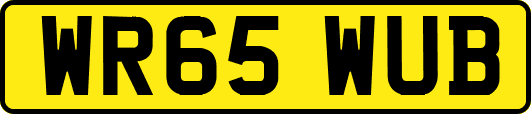 WR65WUB