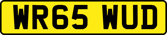 WR65WUD