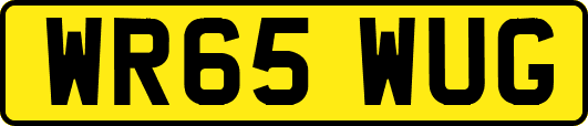 WR65WUG