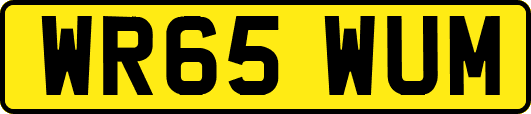 WR65WUM