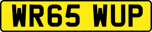 WR65WUP