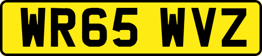WR65WVZ