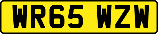 WR65WZW