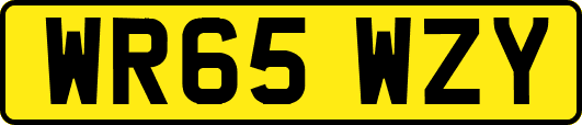 WR65WZY