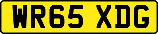 WR65XDG