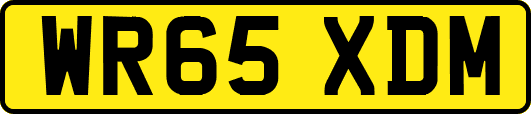WR65XDM