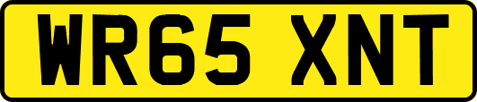 WR65XNT