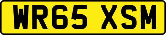 WR65XSM