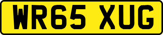 WR65XUG