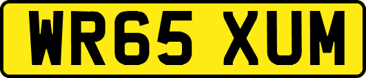 WR65XUM