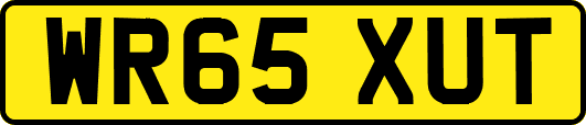 WR65XUT