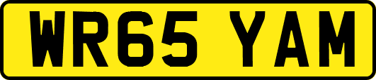 WR65YAM