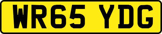 WR65YDG