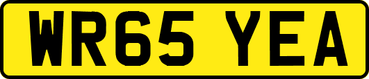WR65YEA