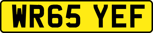 WR65YEF