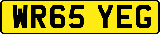 WR65YEG