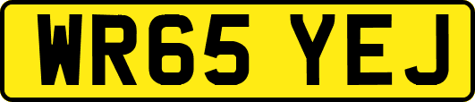 WR65YEJ