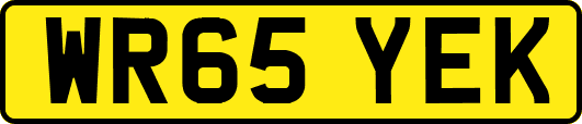 WR65YEK