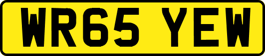 WR65YEW