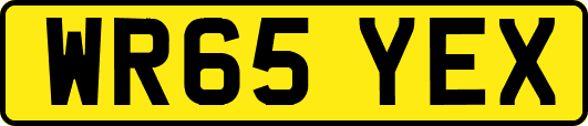WR65YEX