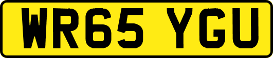 WR65YGU