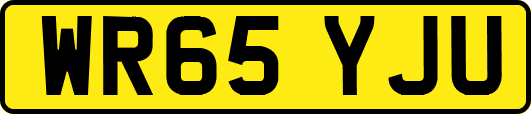 WR65YJU