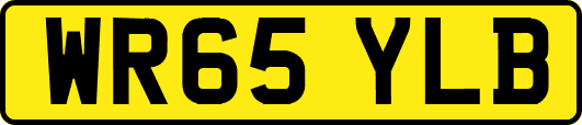 WR65YLB