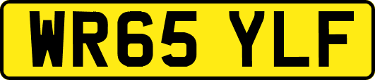 WR65YLF